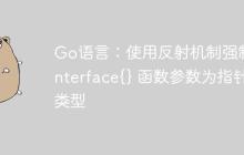 Go语言：使用反射机制强制 interface{} 函数参数为指针类型