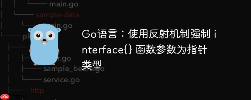 go语言：使用反射机制强制 interface{} 函数参数为指针类型