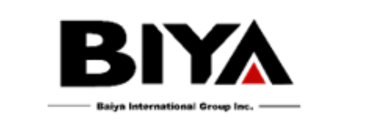 Baiya国际的Web3飞跃:收购行动预示着大胆的数字化转型