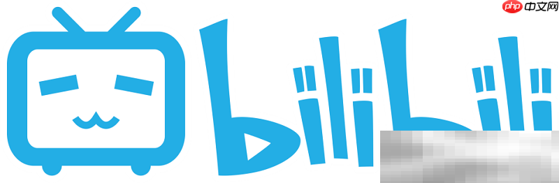 哔哩哔哩网页版入口(bilibili官网网址分享)