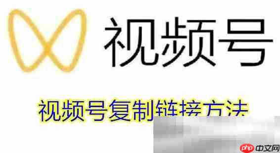 视频号怎么复制链接？（视频号复制提取链接方法）