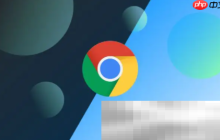 谷歌浏览器怎么翻译网页？（chrome网页翻译中文简体教程）