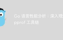 Go 语言性能分析：深入理解 pprof 工具链