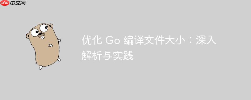 优化 Go 编译文件大小：深入解析与实践
