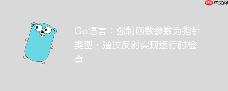 Go语言：强制函数参数为指针类型，通过反射实现运行时检查
