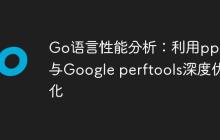 Go语言性能分析：利用pprof与Google perftools深度优化