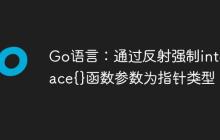 Go语言：通过反射强制interface{}函数参数为指针类型