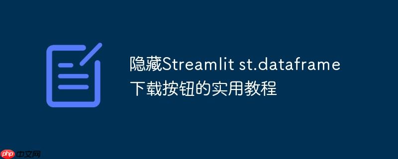 隐藏Streamlit st.dataframe下载按钮的实用教程