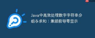 Java中高效处理数字字符串分组与求和:兼顾前导零显示