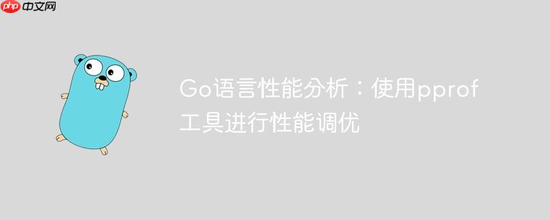 Go语言性能分析：使用pprof工具进行性能调优
