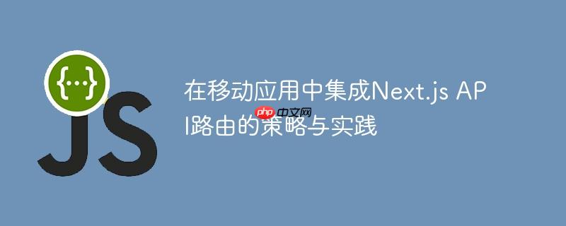 在移动应用中集成Next.js API路由的策略与实践