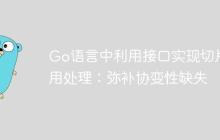 Go语言中利用接口实现切片通用处理：弥补协变性缺失