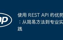 使用 REST API 的优势：从简易方法到专业实践