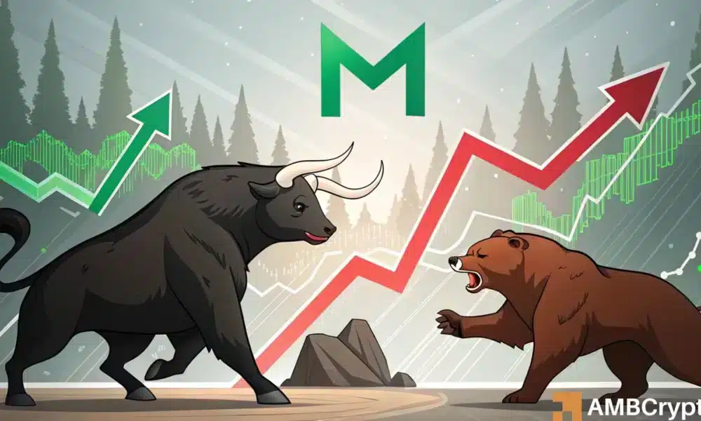 MNT、回调与分析：解读最新加密货币动态