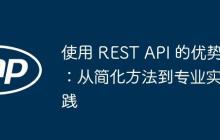 使用 REST API 的优势：从简化方法到专业实践