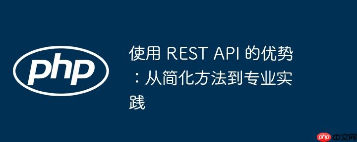 使用 rest api 的优势：从简化方法到专业实践