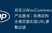 自定义WooCommerce产品查询：在商店和分类页面实现URL参数过滤