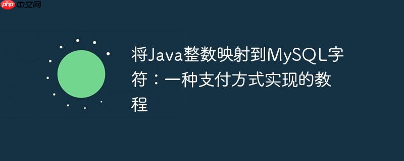 将Java整数映射到MySQL字符：一种支付方式实现的教程