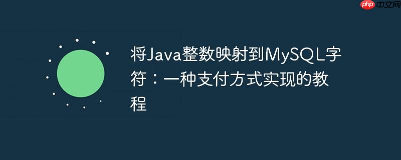 将java整数映射到mysql字符:一种支付方式实现的教程