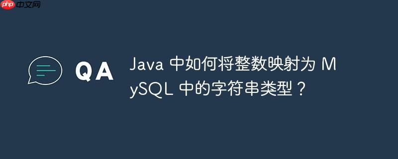 java 中如何将整数映射为 mysql 中的字符串类型?