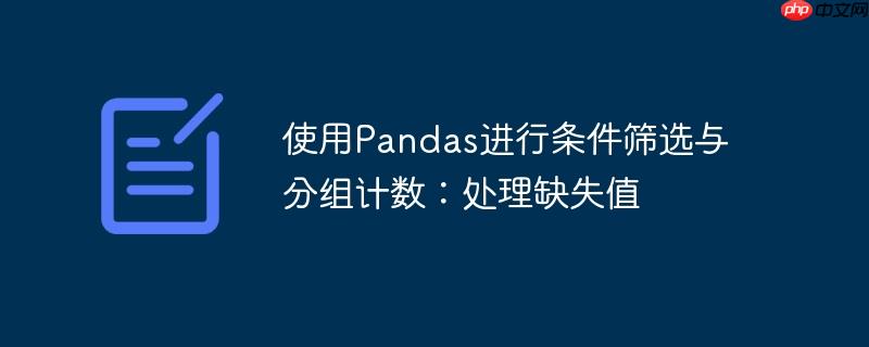 使用pandas进行条件筛选与分组计数：处理缺失值