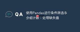 使用Pandas进行条件筛选与分组计数：处理缺失值