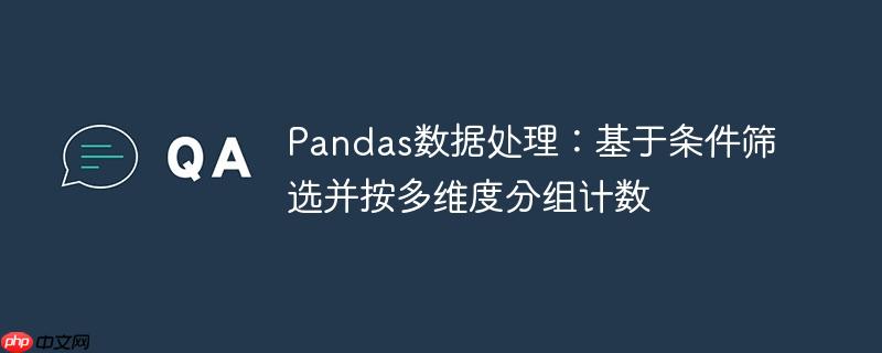 Pandas数据处理：基于条件筛选并按多维度分组计数
