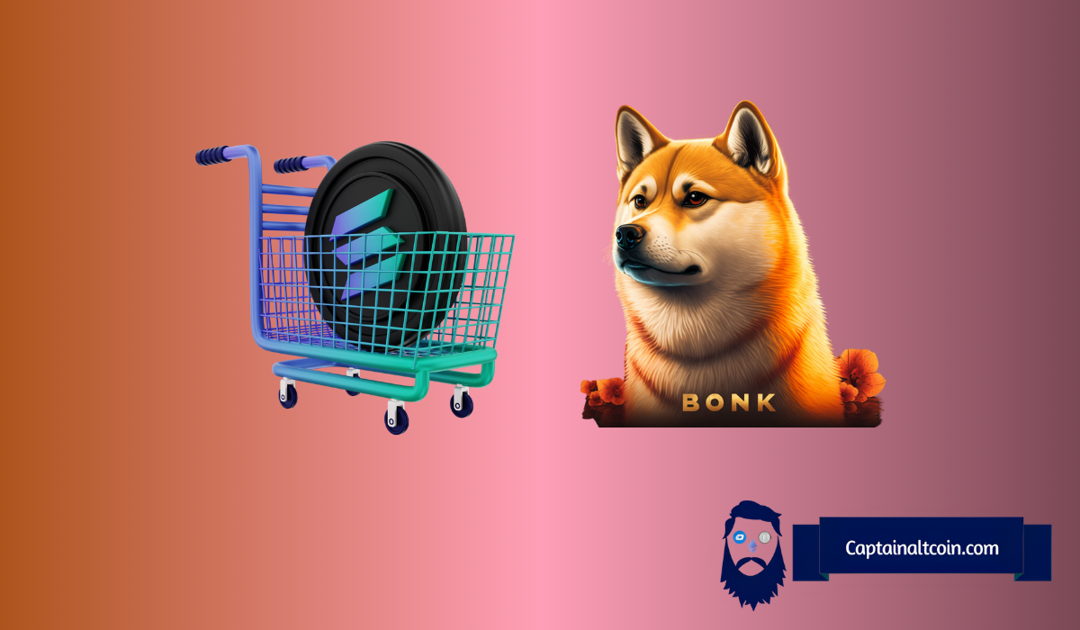 BONK、加密货币与代币销毁:这到底是怎么回事?