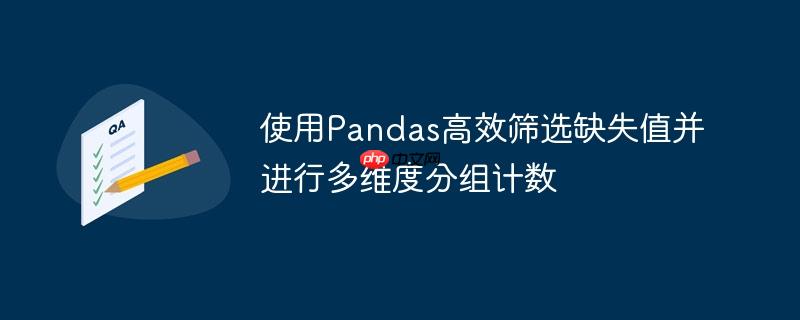 使用Pandas高效筛选缺失值并进行多维度分组计数
