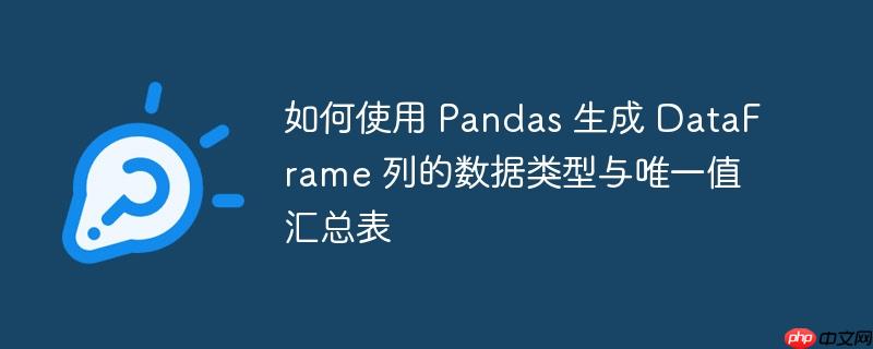 如何使用 Pandas 生成 DataFrame 列的数据类型与唯一值汇总表
