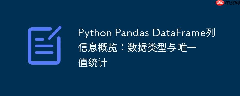 Python Pandas DataFrame列信息概览：数据类型与唯一值统计
