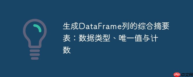 生成DataFrame列的综合摘要表：数据类型、唯一值与计数
