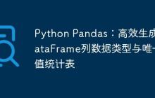 Python Pandas：高效生成DataFrame列数据类型与唯一值统计表