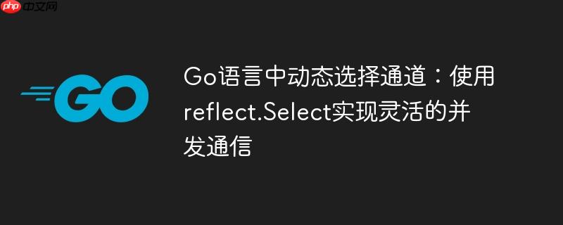 Go语言中动态选择通道：使用reflect.Select实现灵活的并发通信
