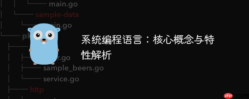 系统编程语言：核心概念与特性解析