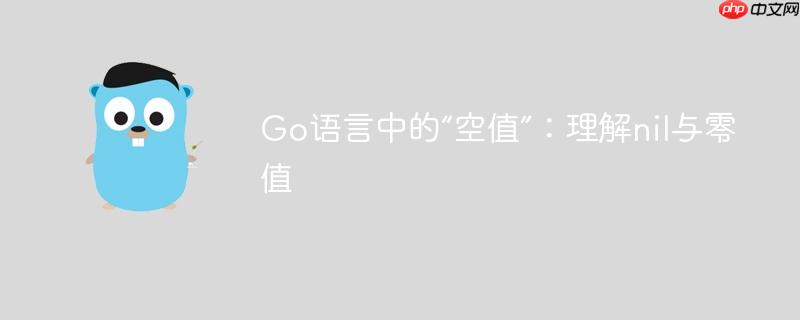 Go语言中的“空值”：理解nil与零值-小浪学习网