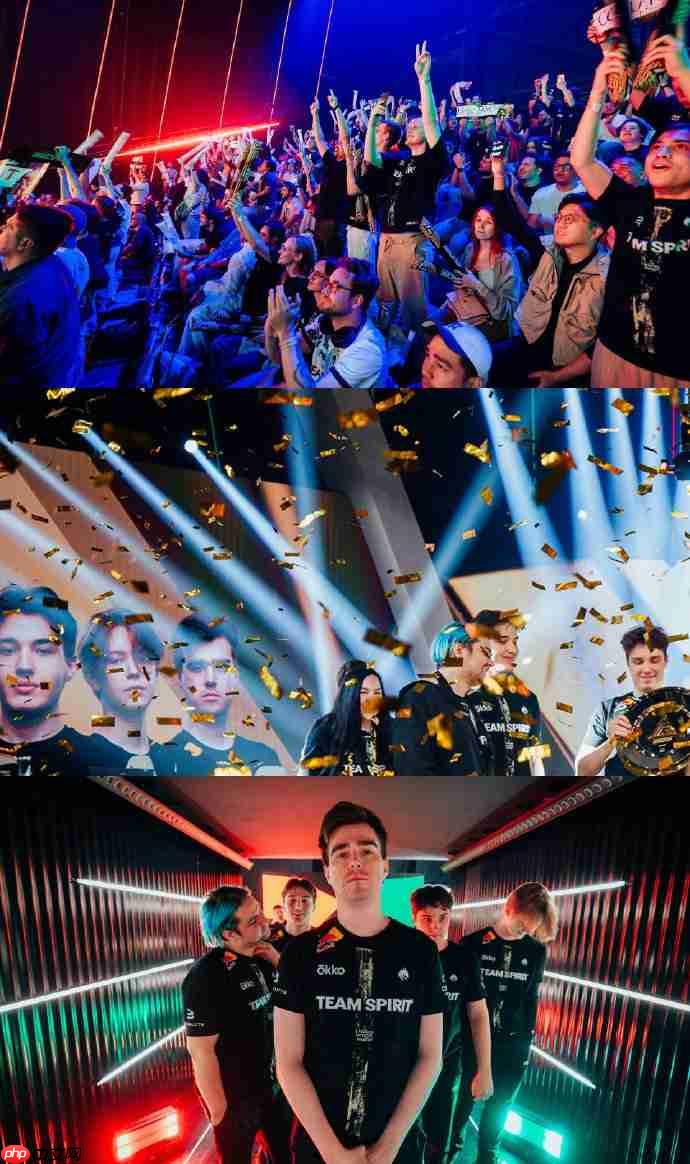 电竞世界杯《DOTA2》:TS战队再次夺冠 获100万美元奖金