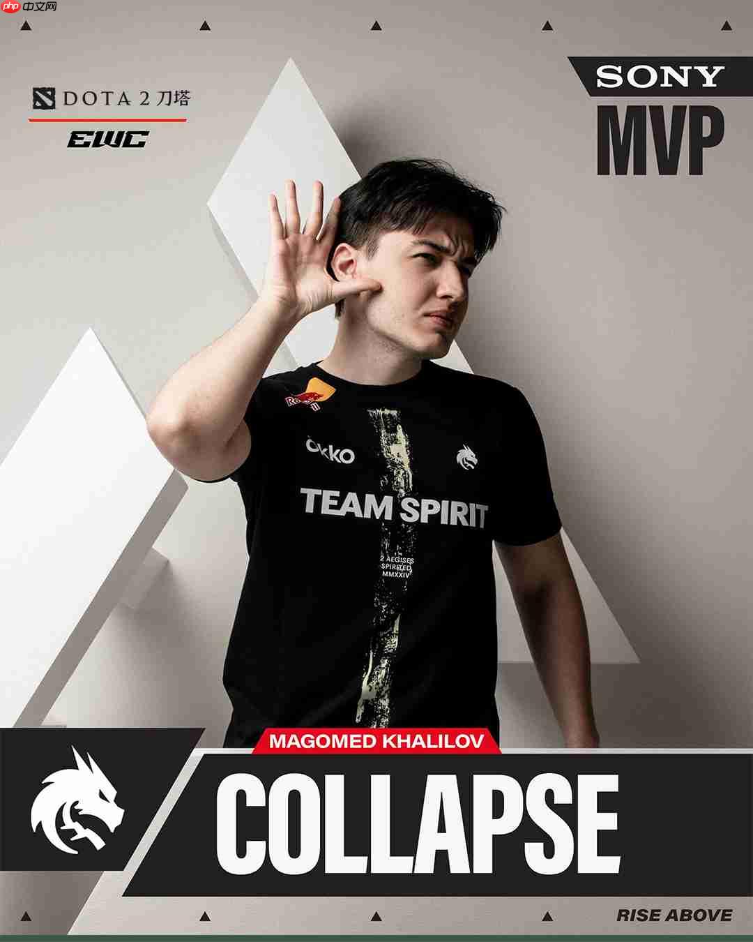 电竞世界杯《DOTA2》:TS战队再次夺冠 获100万美元奖金