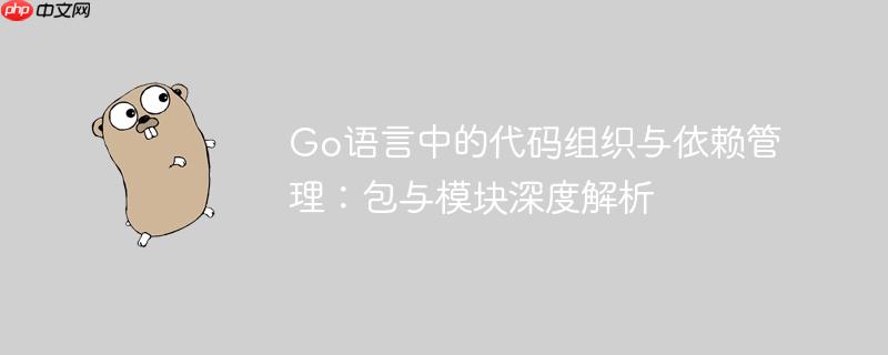 Go语言中的代码组织与依赖管理：包与模块深度解析
