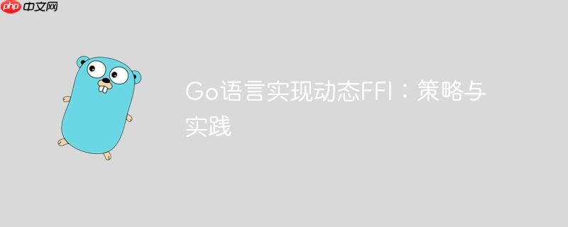 Go语言实现动态FFI：策略与实践
