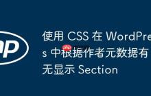 使用 CSS 在 WordPress 中根据作者元数据有无显示 Section
