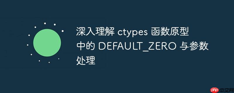 深入理解 ctypes 函数原型中的 DEFAULT_ZERO 与参数处理