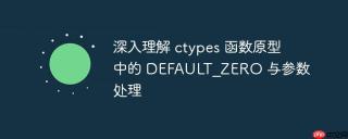 深入理解 ctypes 函数原型中的 DEFAULT_ZERO 与参数处理
