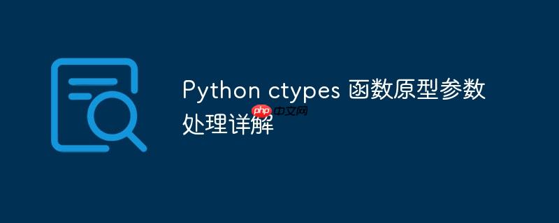 Python ctypes 函数原型参数处理详解