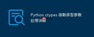 Python ctypes 函数原型参数处理详解