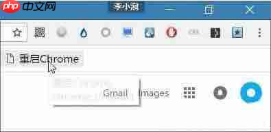 win10电脑chrome浏览器占用内存太大如何解决?