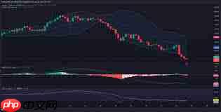 XMR币能否涨到1000美元