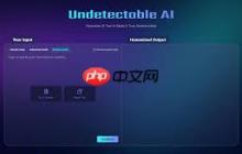 文字转换生成器能探索语言新可能吗