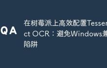 在树莓派上高效配置Tesseract OCR：避免Windows兼容性陷阱