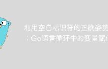 利用空白标识符的正确姿势：Go语言循环中的变量赋值